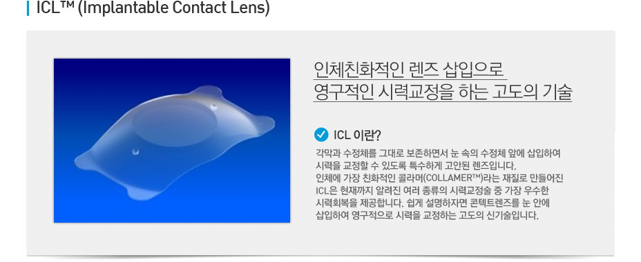 contents TEXT