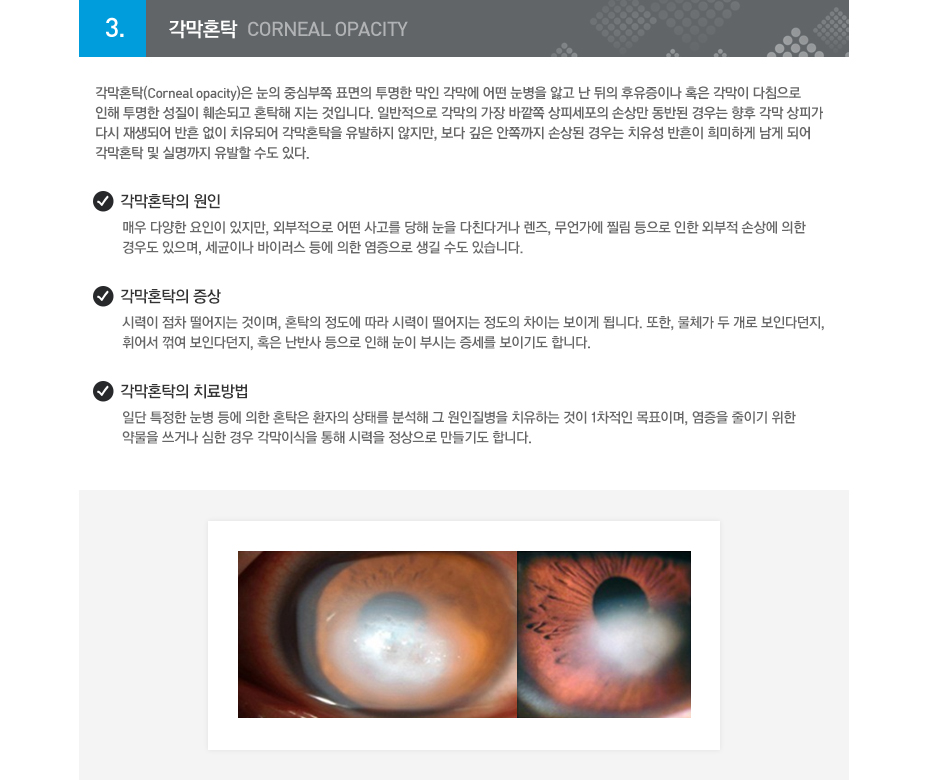 contents TEXT