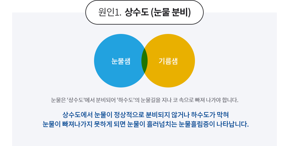눈물흘림증의 원인